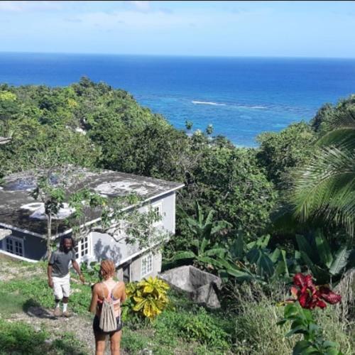 Port Antonio Brian's Beach House