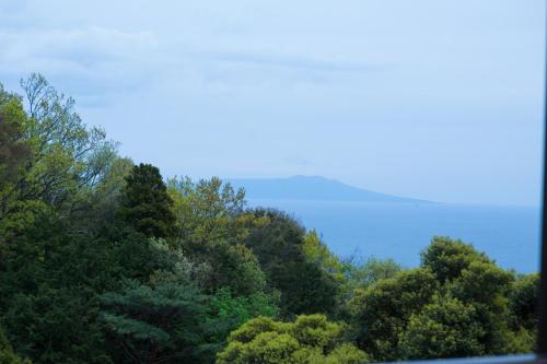 Suite Villa Izu Akazawa 