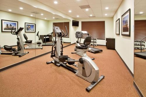 Holiday Inn Express Hotel & Suites Buford NE - Lake Lanier Area