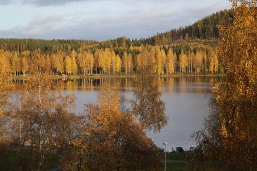 Yksiö Järvimaisemalla - Apartment - Äänekoski