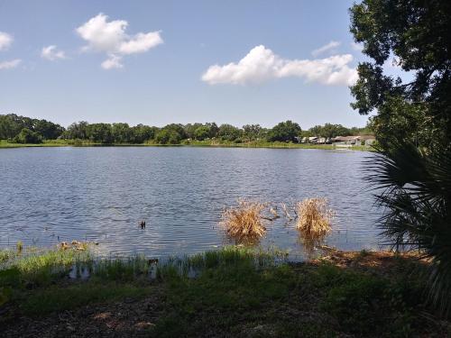 Surrounding environment, Tampa Citrus Park in Citrus Park