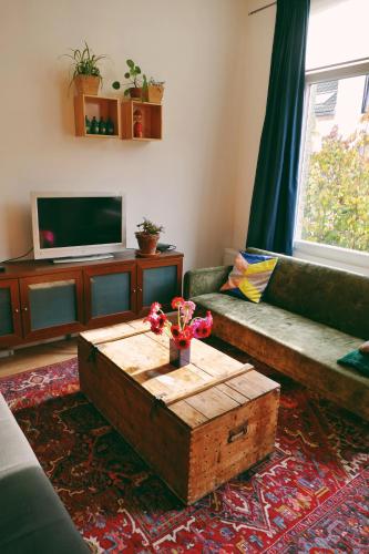 130sqm appartment with 20sqm terras and free parking, Antverpy (fotografie 9)