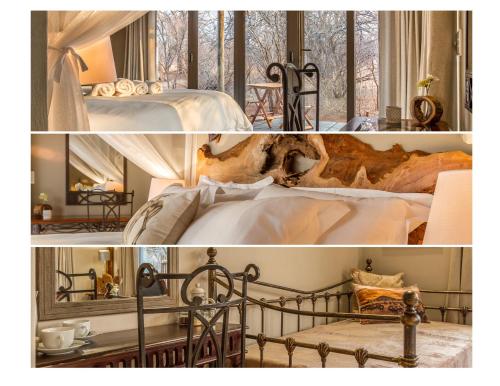 223517297 Ukuthula Bush Lodge