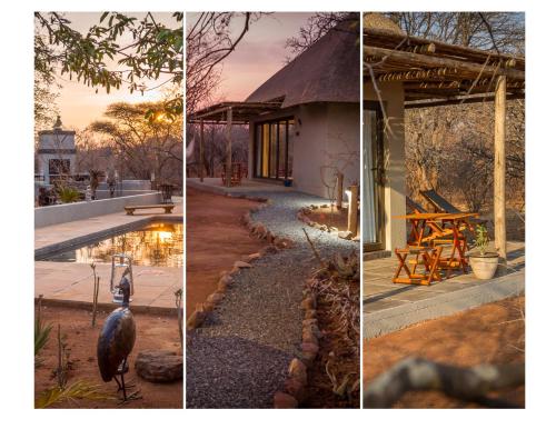 223521076 Ukuthula Bush Lodge