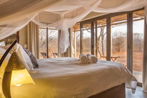 223521914 Ukuthula Bush Lodge