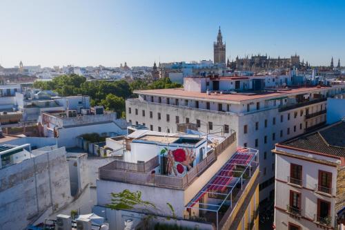 Einrichtungen, Black Swan Hostel Sevilla in Sevilla