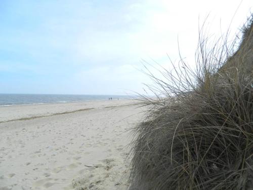 Bespoke Chalet 214, walk to the beach & close to Norfolk broads - pet friendly!