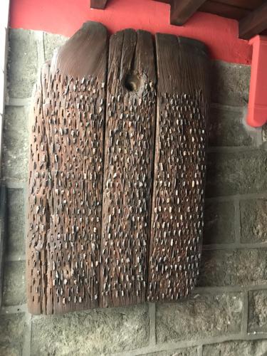 버고혼도 Hotel Rural El Alberche 2성급 호텔 수영장