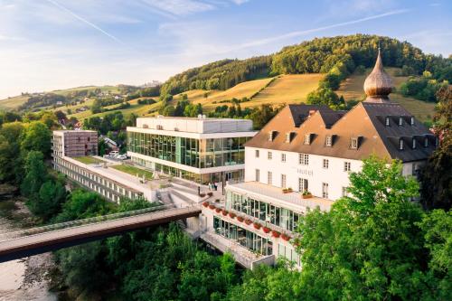 Das Schloss an der Eisenstrasse - Hotel - Waidhofen an der Ybbs