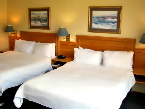Safari Hotel & Convention Centre Room Type - Family Room