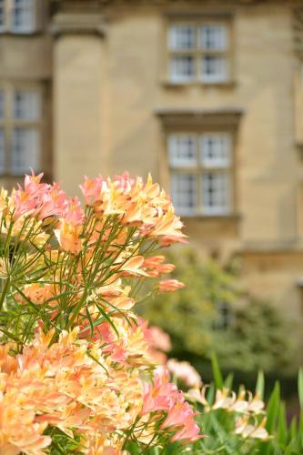 Christ's College Cambridge