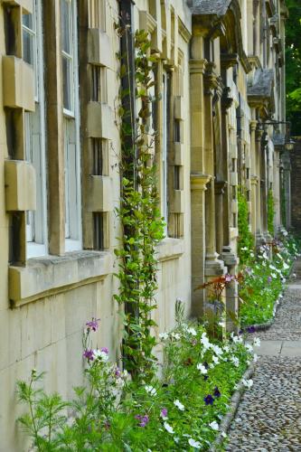 Christ's College Cambridge