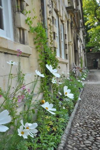 Christs College Cambridge