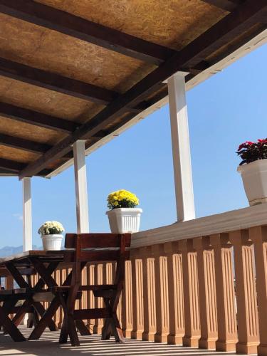 Apartmani Breze in Podgorica