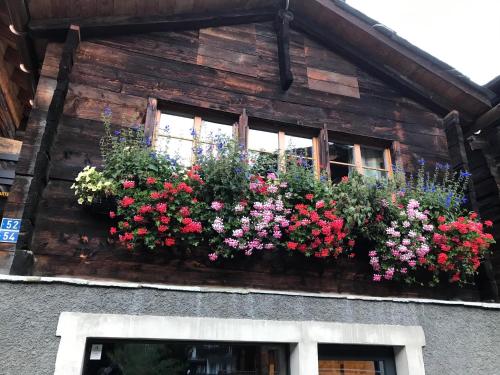 Schirle - image 7