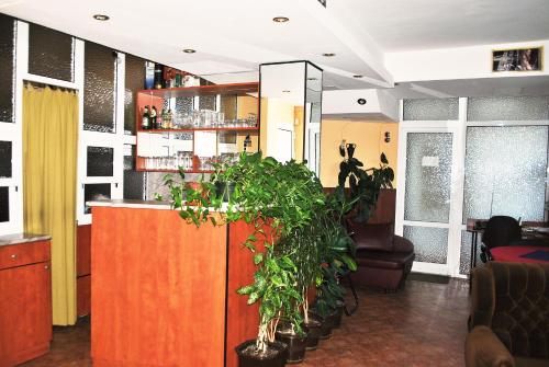 Family hotel Zora, Sofia (photo 5)
