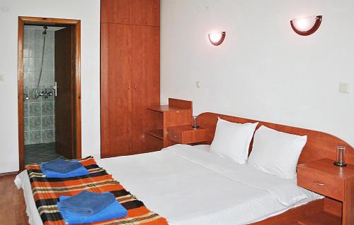 Family hotel Zora, Sofia (photo 6)