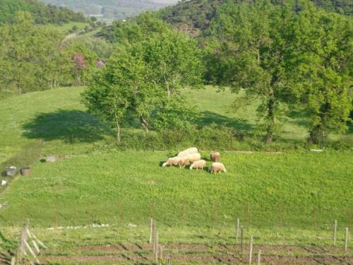 Country Home Genesi 20 min from Trikala