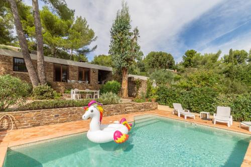 Les Eucalyptus - Tap to explore photos