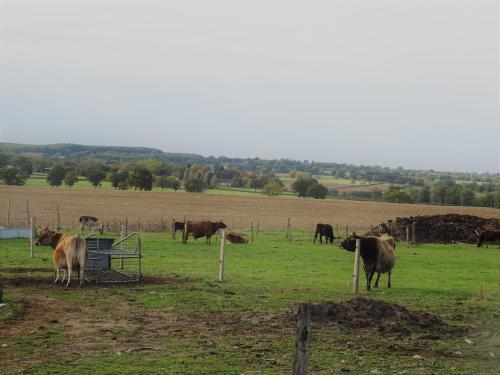 Chambre à la ferme