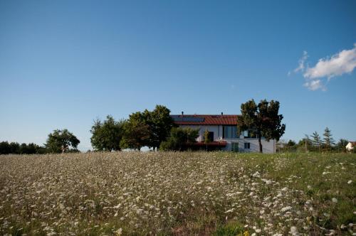  Cascina Bellaria, Mantovana bei Silvano dʼOrba