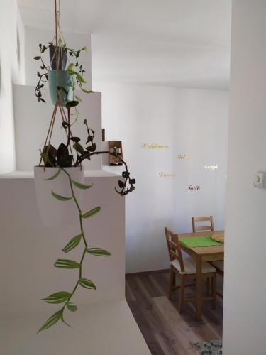 Facilities, Casa Violina in San Pietro Avellana