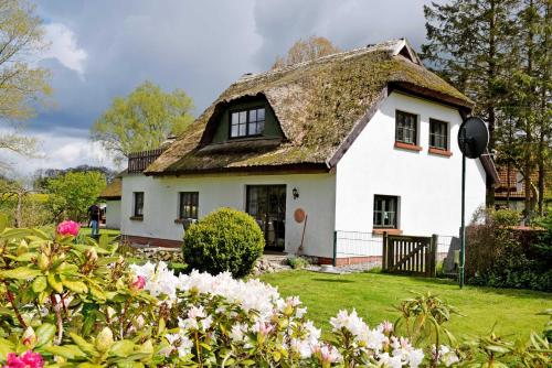 Apartment in Hof Patzig 