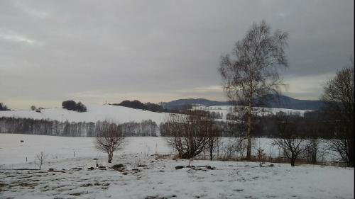 Novohradský ráj aneb Oáza klidu na samotě u lesa