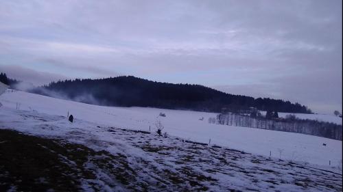 Novohradský ráj aneb Oáza klidu na samotě u lesa