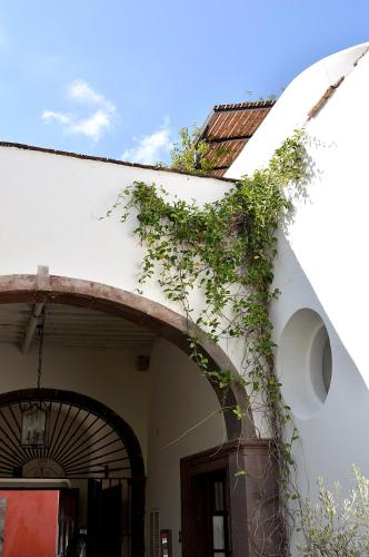 Casa de Los Olivos in San Miguel de Allende, Mexico
