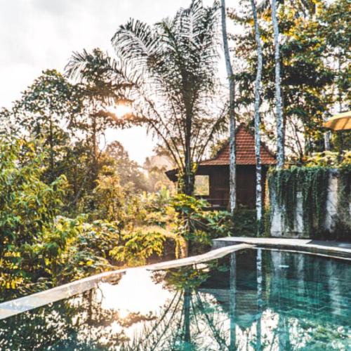 The Jungle Villa Family, Bali