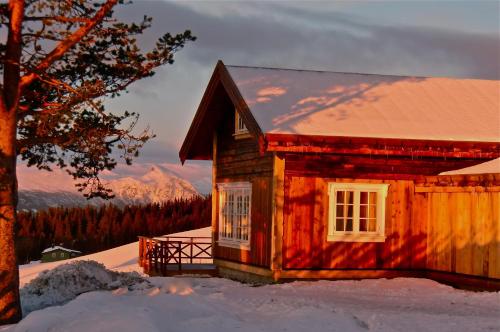 5 bedrooms, 9 beds