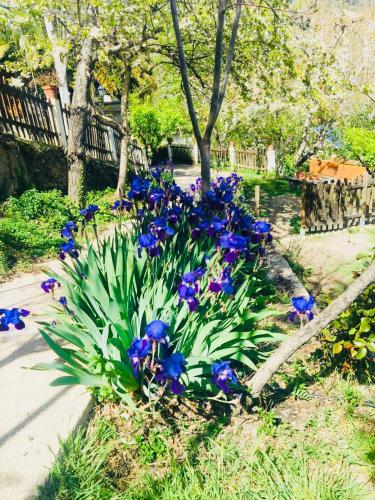 Barranco de la Salud - Accommodation - Laroles