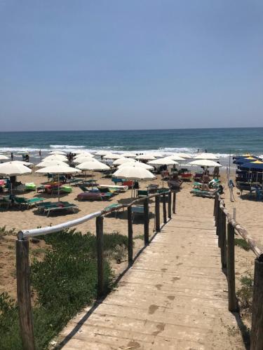 Residenza Le Spiagge 4