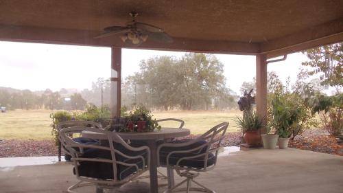 The Branded Calf Bed & Breakfast - image 5