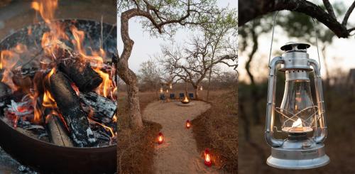 223748179 Moya Safari Villa