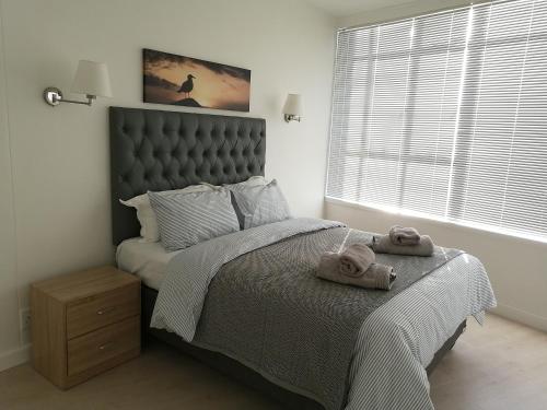 Disa Park 14th Floor Apartment with City Views in Vredehoek