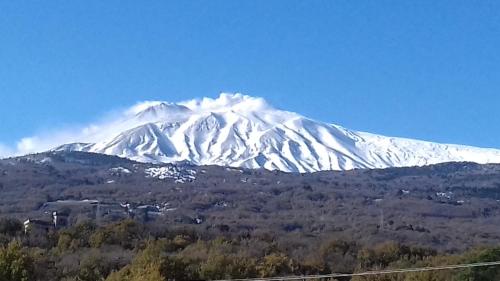  Il Noccioleto in Linguaglossa