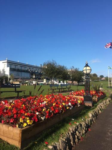 The Downs, Babbacombe