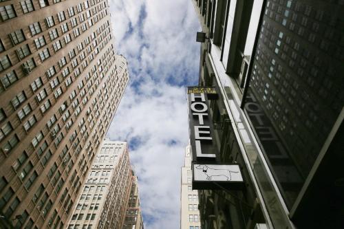 Doxie Hotel in New York, USA