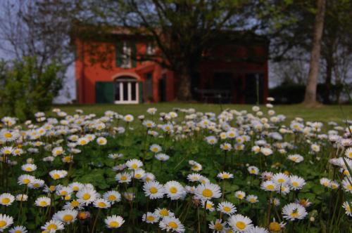 B&B L'Alberone - main image