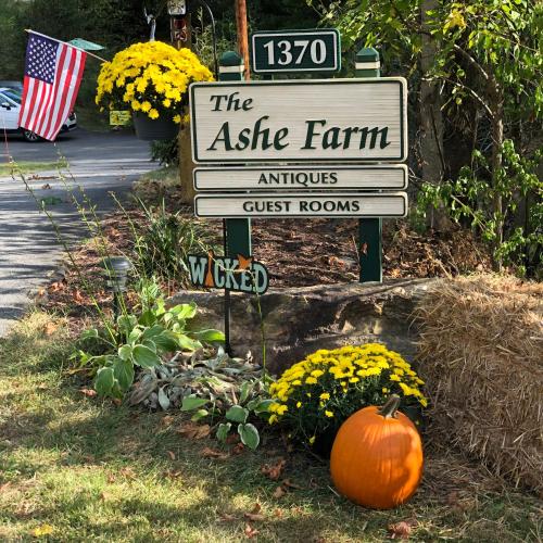 The Ashe Farm - Accommodation - Marshall