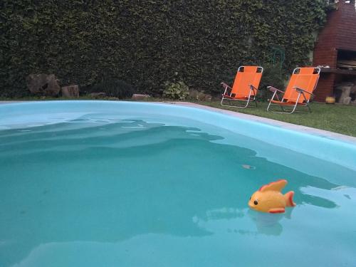 Swimming pool, La Vilma Hospedaje Familiar in Celedonio Escalada