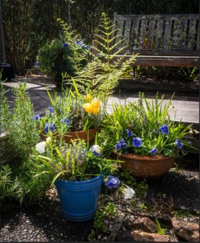 The Courtyard 万怡 图片