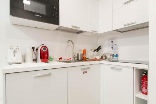 Metro Plaza Apartment -Buenos Aires, Mediolan (zdjęcie 4)