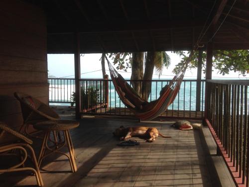 Programlehetőségek, Finca El Regalo in Capurgana