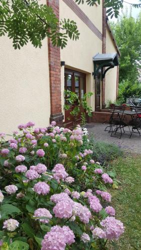 Pension Am Holzgraben