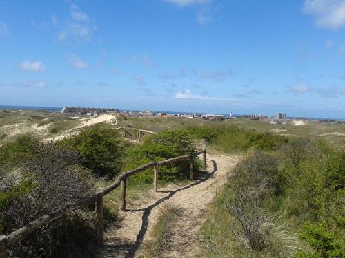 Joy in Egmond-Binnen
