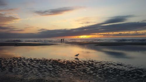Joy in Egmond-Binnen