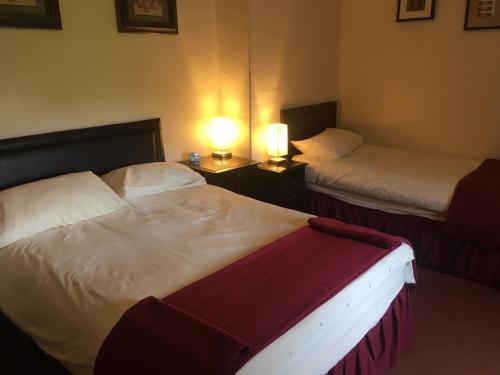 Holly Trees Hotel - image 11